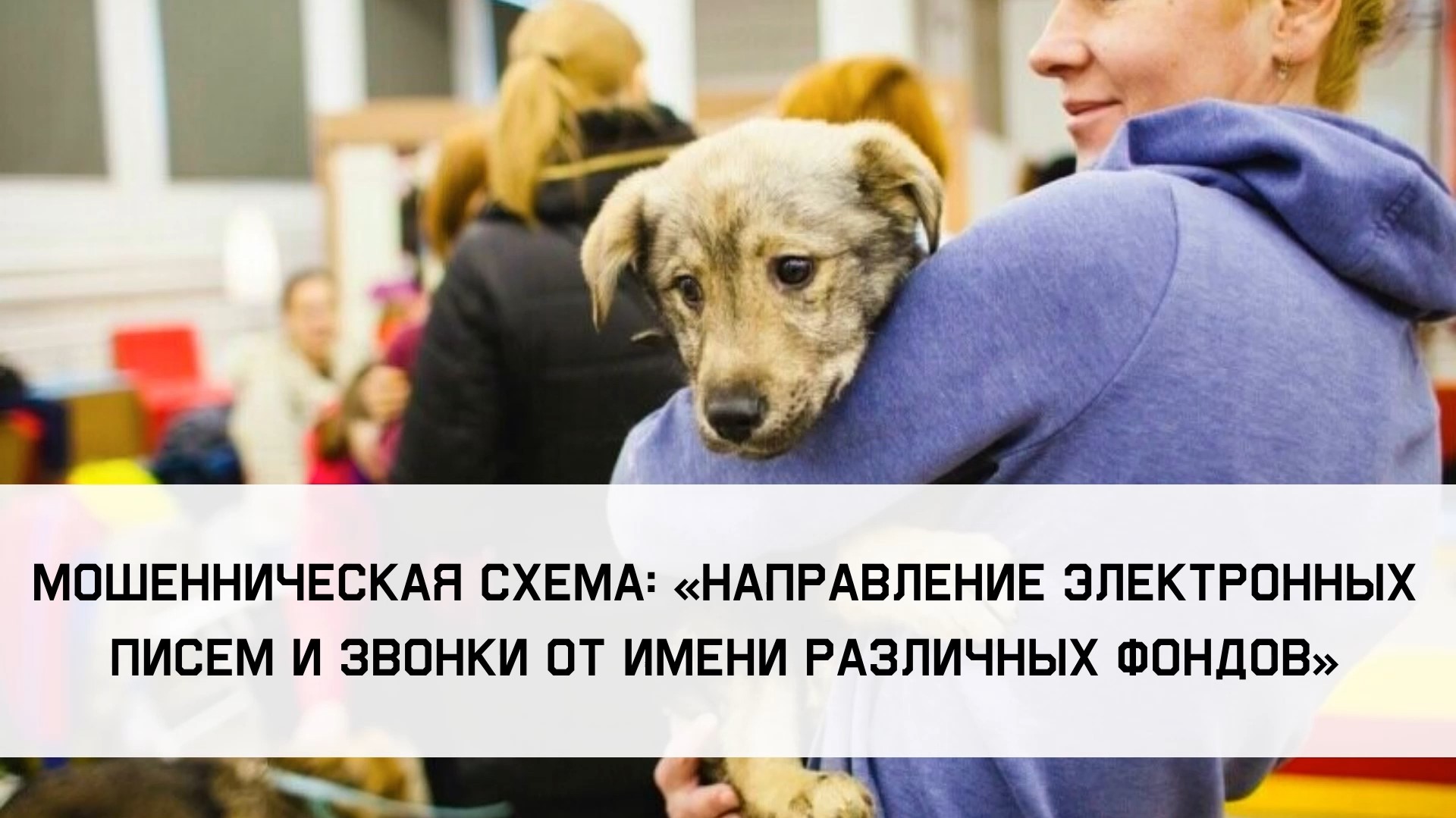 Электронные письма, сообщения извонки от имени различных фондов
